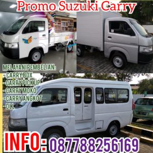PROMO NEW CARRY 2019